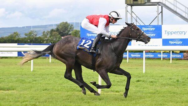 Dundalk preview: Serious Notions can show she’s a serious contender